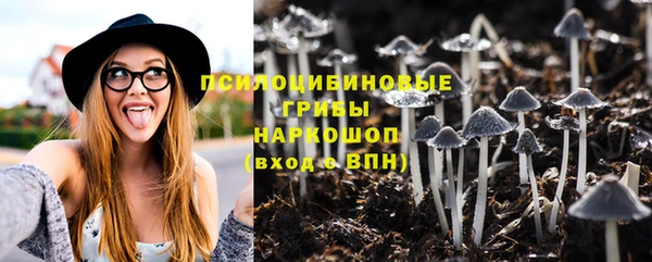 мет Шадринск