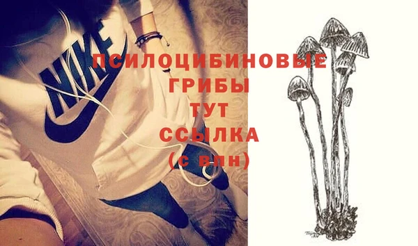 стафф Майский