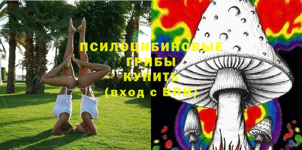 стафф Майский