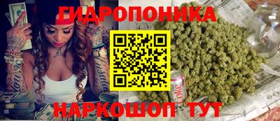 ГАЛЛЮЦИНОГЕННЫЕ ГРИБЫ Камышлов