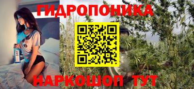 ГАЛЛЮЦИНОГЕННЫЕ ГРИБЫ Камышлов