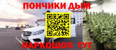 ГАЛЛЮЦИНОГЕННЫЕ ГРИБЫ Камышлов