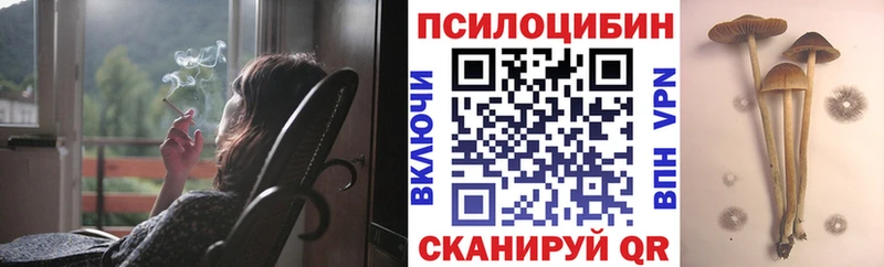 Псилоцибиновые грибы Psilocybine cubensis  Севастополь 