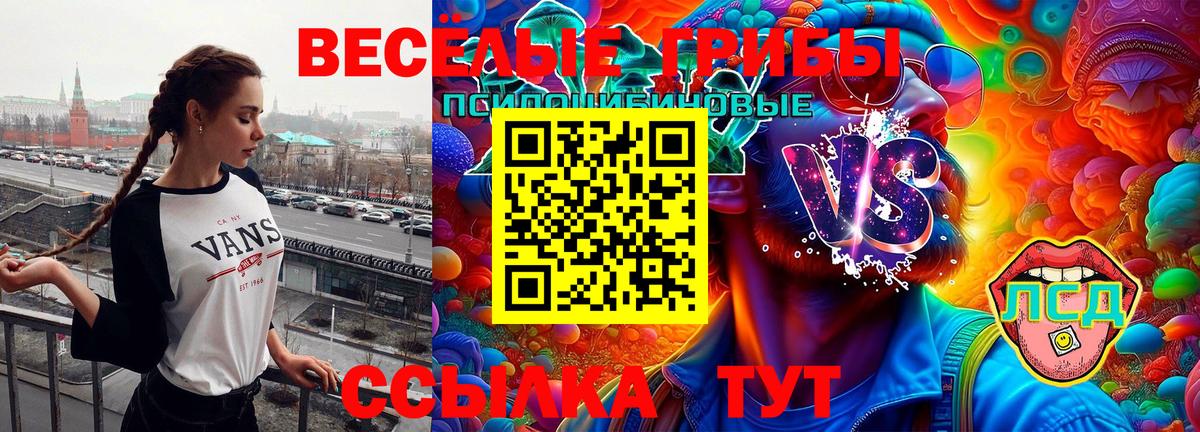 Галлюциногенные грибы Psilocybine cubensis  где продают   Севастополь 