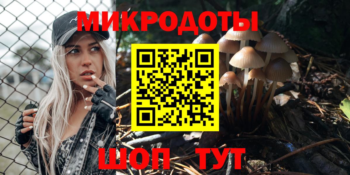 Псилоцибиновые грибы Psilocybe Севастополь