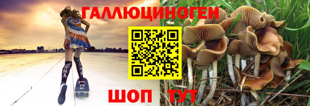Галлюциногенные грибы Cubensis Севастополь