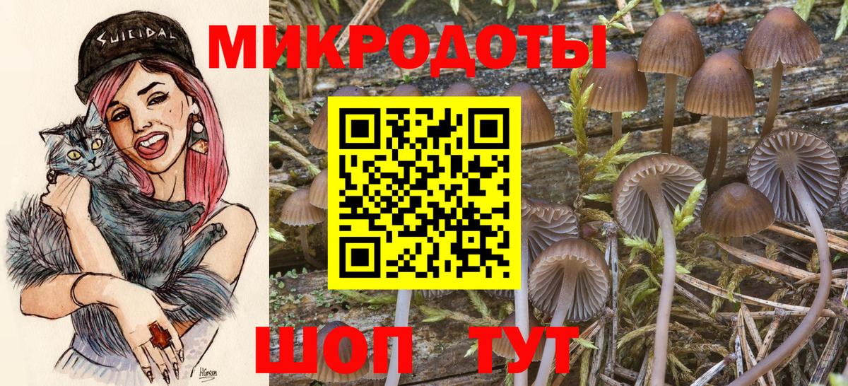 Севастополь  Псилоцибиновые грибы Cubensis  Вход с VPN  Галлюциногенные грибы ЛСД 